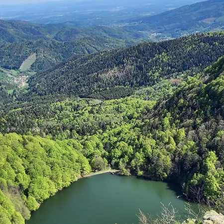 En Montagne, 3 étoiles, Proche Randonnées Et Alsace, Confort Avec Terrasse. - Fr-1-589-391