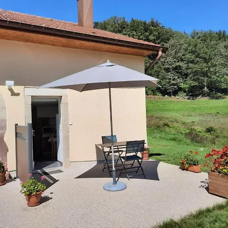 En Montagne, 3 étoiles, Proche Randonnées Et Alsace, Confort Avec Terrasse. - Fr-1-589-391 Rupt-sur-Moselle