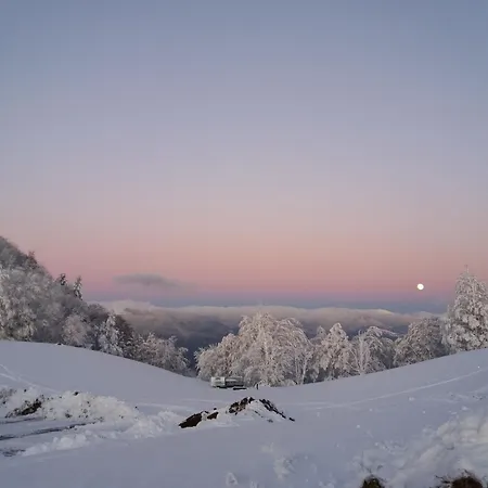 Lägenhet En Montagne, 3 Etoiles, Proche Randonnees Et Alsace, Confort Avec Terrasse. - Fr-1-589-391 Rupt-sur-Moselle