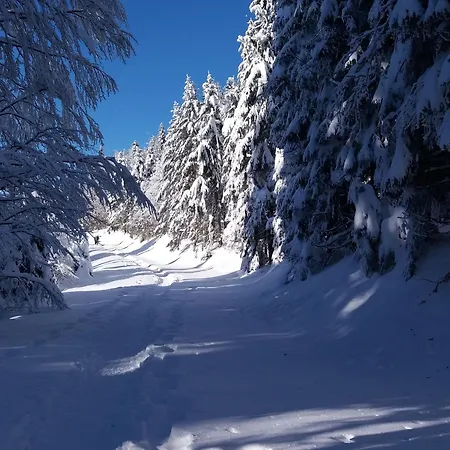 En Montagne, 3 Etoiles, Proche Randonnees Et Alsace, Confort Avec Terrasse. - Fr-1-589-391 * Rupt-sur-Moselle