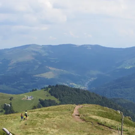 En Montagne, 3 Etoiles, Proche Randonnees Et Alsace, Confort Avec Terrasse. - Fr-1-589-391 Lägenhet