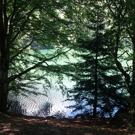 En Montagne, 3 Etoiles, Proche Randonnees Et Alsace, Confort Avec Terrasse. - Fr-1-589-391 Rupt-sur-Moselle