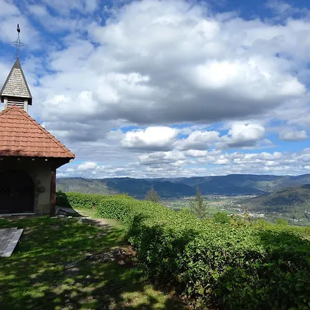 En Montagne, 3 Etoiles, Proche Randonnees Et Alsace, Confort Avec Terrasse. - Fr-1-589-391 *