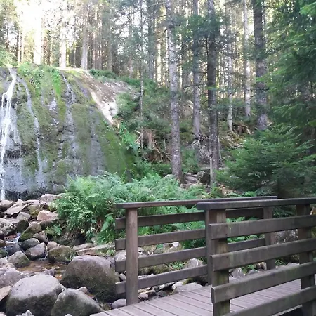 Lägenhet En Montagne, 3 Etoiles, Proche Randonnees Et Alsace, Confort Avec Terrasse. - Fr-1-589-391