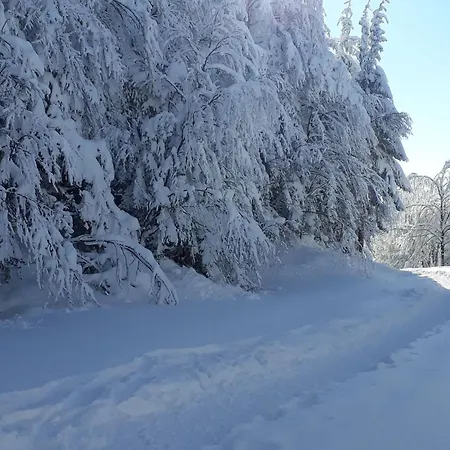 Lägenhet En Montagne, 3 Etoiles, Proche Randonnees Et Alsace, Confort Avec Terrasse. - Fr-1-589-391 Rupt-sur-Moselle