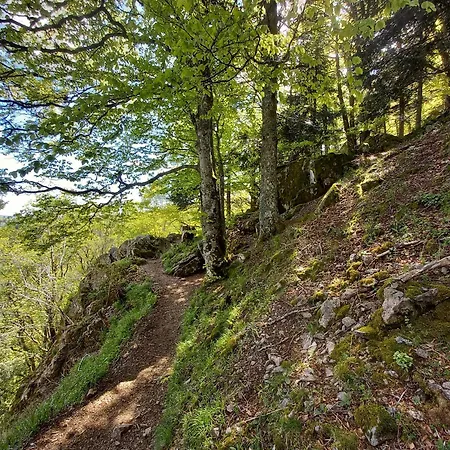 Apartment En Montagne, 3 Etoiles, Proche Randonnees Et Alsace, Confort Avec Terrasse. - Fr-1-589-391 Rupt-sur-Moselle